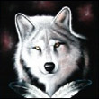 Sergey